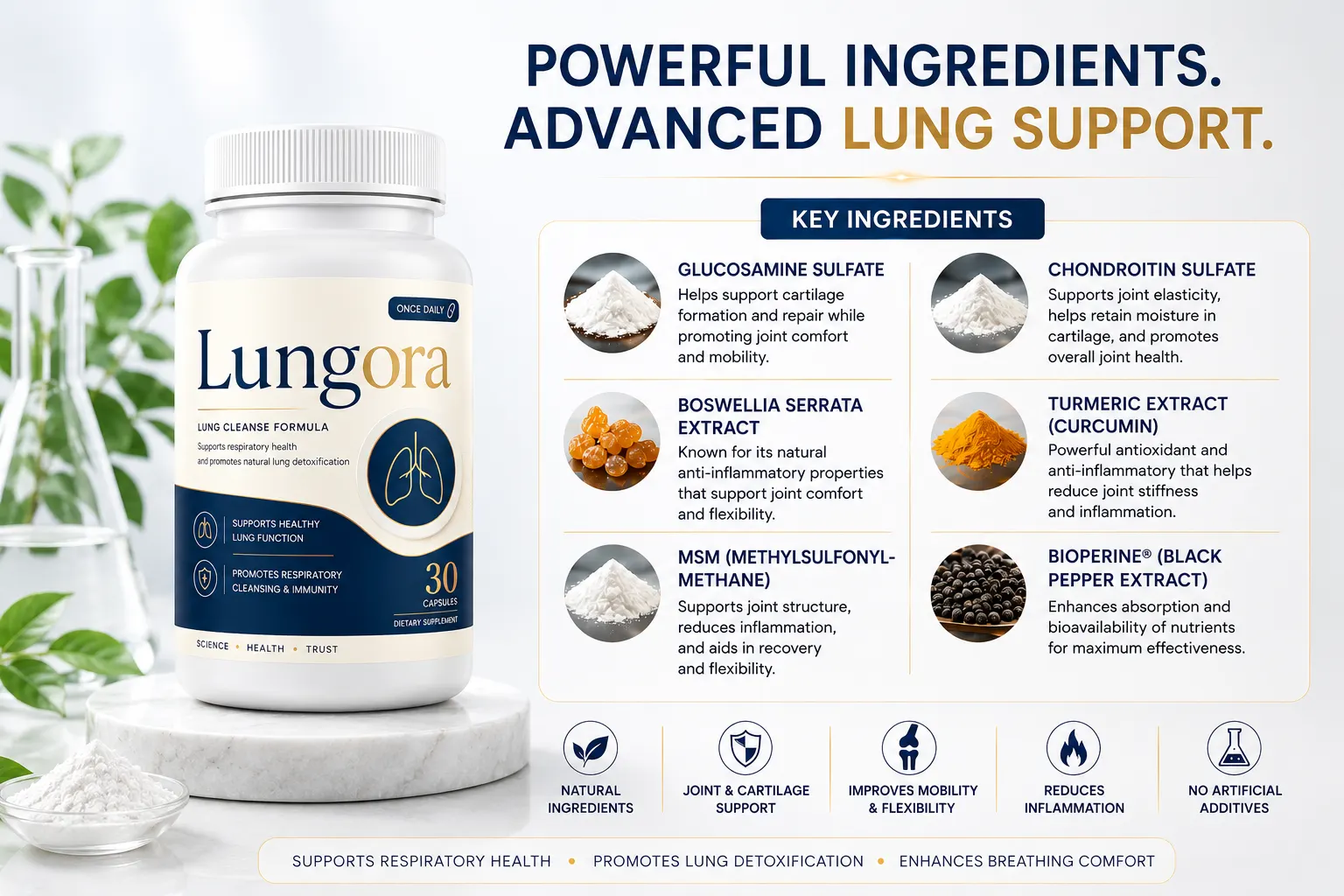 Lungora Daily Wellness Formula